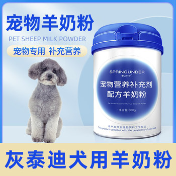 Gray teddy special dog goat milk powder puppies