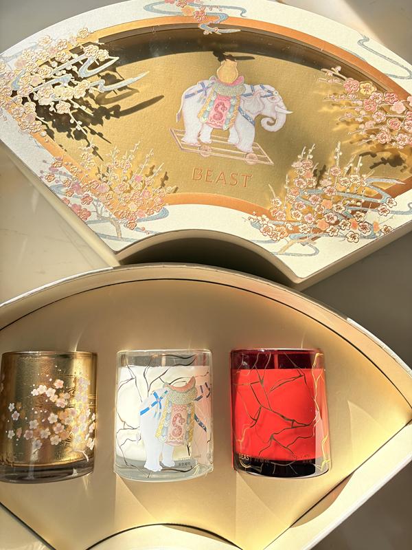 Futurist Peaceful Elephant Sea Floral Fragrance Fan Gift Box Bedroom Fragrance Aromatherapy Candle Long-Lasting Birthday Gift Futurist Peaceful Elephant Sea Floral Fragrance Fan Gift Box Bedroom Fragrance Aromatherapy Candle Long-Lasting Birthday Gift