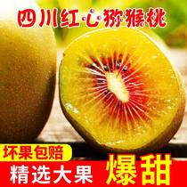 Red Hearts Kiwi Fruits Fresh Pregnant Women Fruits to Season Whole Boxes Kiwifruit Big Fruits Sichuan Pujiang Miya Pecan Authentic