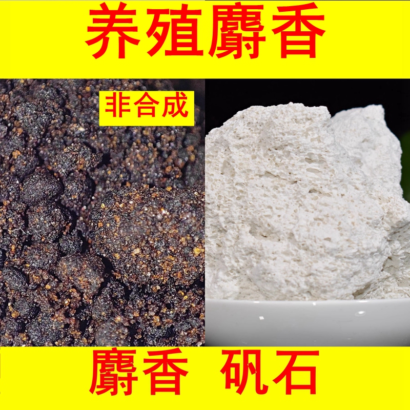 Breeding of Musk】Musk Alum Powder Recommended by Ni Haixia, Genuine Musk Alum Powder Spray, Chinese Medicinal Materials