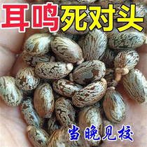 Silent that night) No ringing in the ears no ringing in the ears ear congestion and inflammation. Hundreds of thousands of people have used it in their ears. Cicadas chirp and buzzing is the killer.