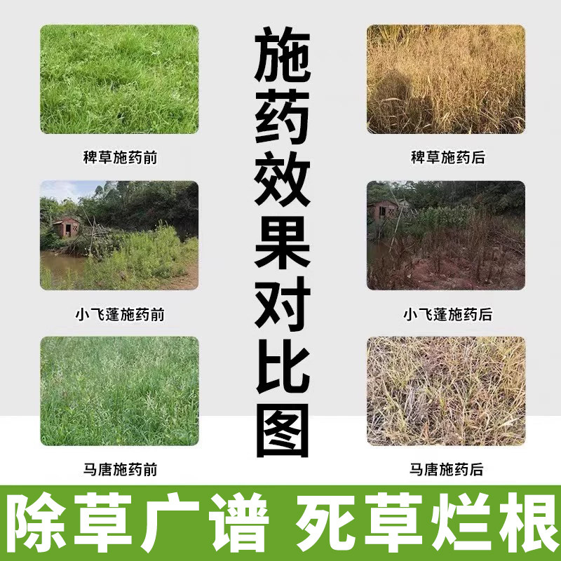 9000E：探索数字背后的神秘力量