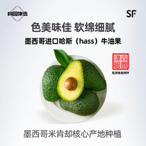 (Selection) Authentic Chilean imported Hass avocado fresh extra large baby food supplement avocado box 12 pieces