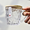 Japanese-Style Glacier Glass Water Cup with Handle for Girls, Home Use, Stylish and Beautiful Beverage Beer Cup with Portable Lid