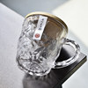 Japanese-Style Glacier Glass Water Cup with Handle for Girls, Home Use, Stylish and Beautiful Beverage Beer Cup with Portable Lid