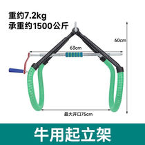 Cattle stand dairy cattle hoist cattle lifting rack livestock supplies large fixed Baoding rack cattle stand hanger