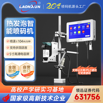 Lingxun online large character inkjet printer fully automatic assembly line QR code production date inkjet printer