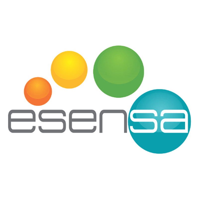 Esensa海外旗舰店的LOGO