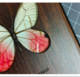 Rose Silk Butterfly Wood Grain iPhone Case for iPhone 13 – 17