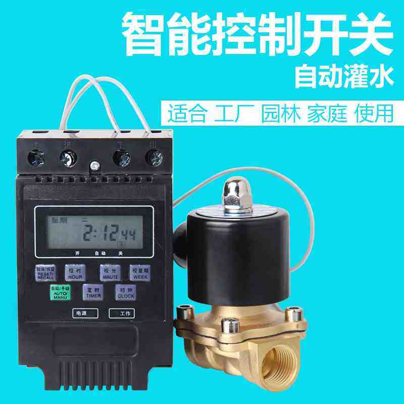 Timing electromagnetic valve when control switch water pipe self-wise flower draining electronic drainage valve 220v automatic energy-Taobao