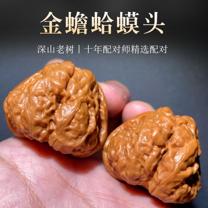 文玩核桃界的扛把子！🔥蛤蟆头狮子头盘玩精品，怀柔野生老树蛙，古玩