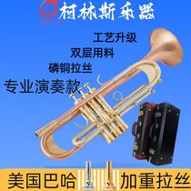 French Collins TR-600GS B-flat trumpet instrument heavy-duty brushed phosphor bronze silver-plated trumpet
