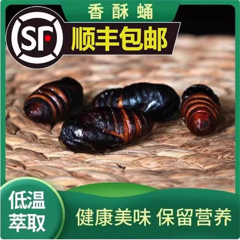 中科院测速大揭秘！你的网络快如闪电吗？?