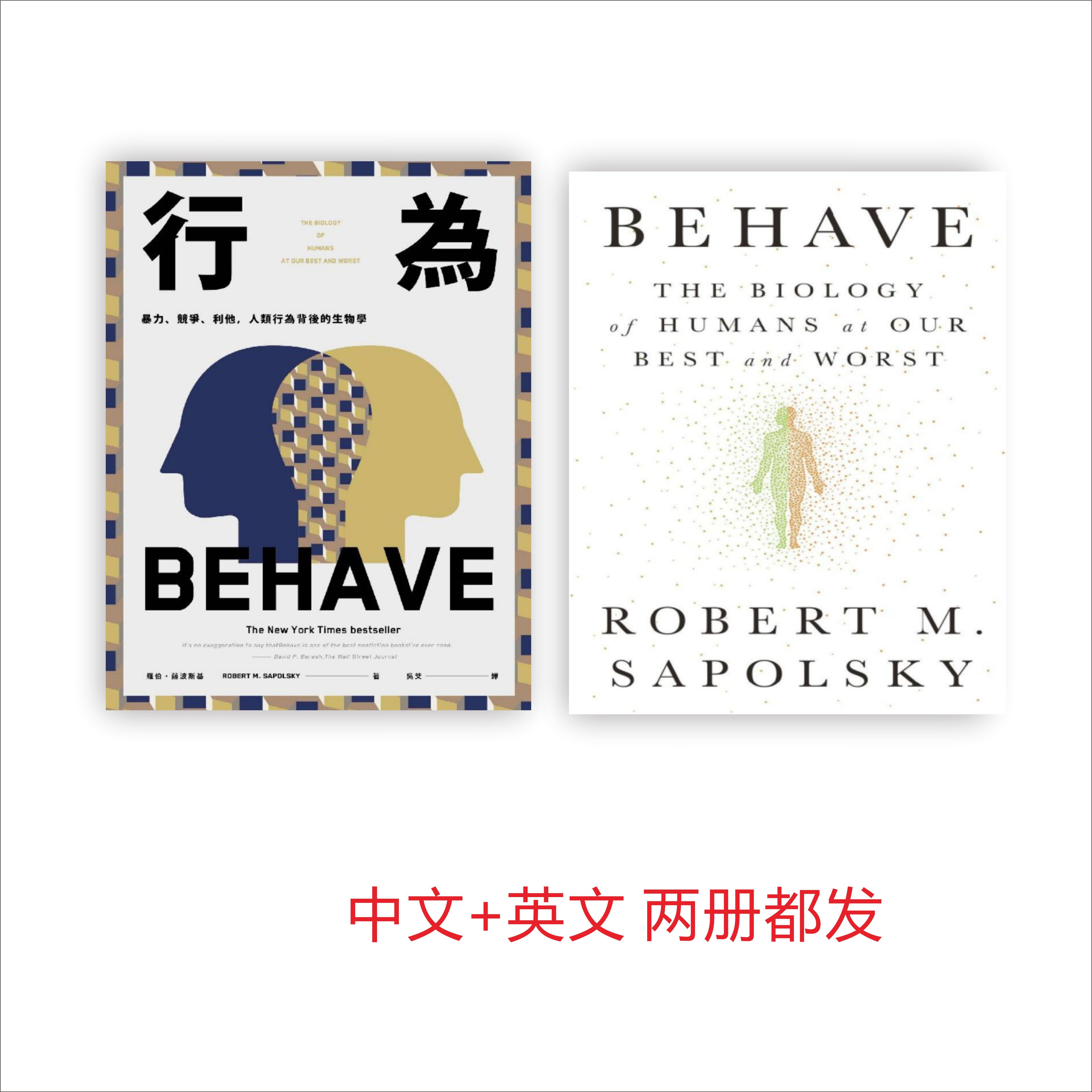 行为 behave 行为 暴力 竞争 利他 人类行为 中文 英文 电子素材