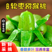 Dandong soft dates kiwis Northeastern round dates small kiwis kiwi berries Northeast specialty fresh fruits