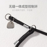 Собака GM Cervage Dog Dog Trabil