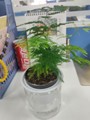 平洋配件