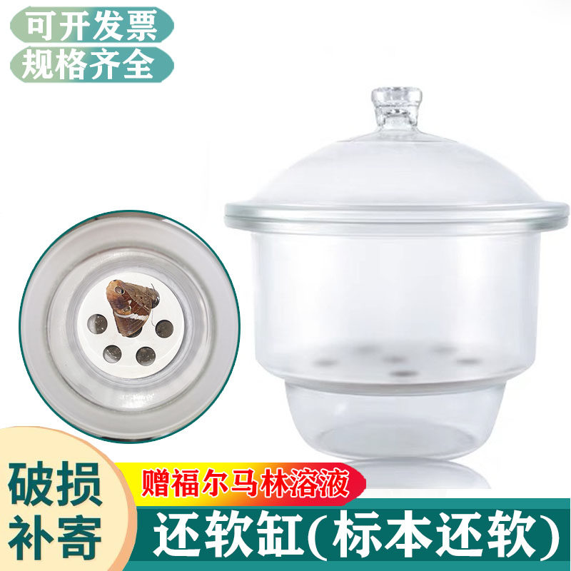 还软标本缸昆虫蝴蝶蜻蜓甲虫标本回软加湿干燥还软器150mm