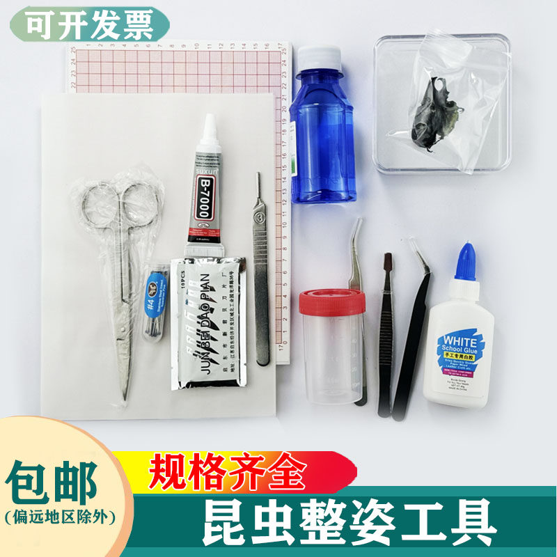 标本制作工具昆虫甲虫整姿板锹甲姬兜虫展翅板标本展示盒昆虫针