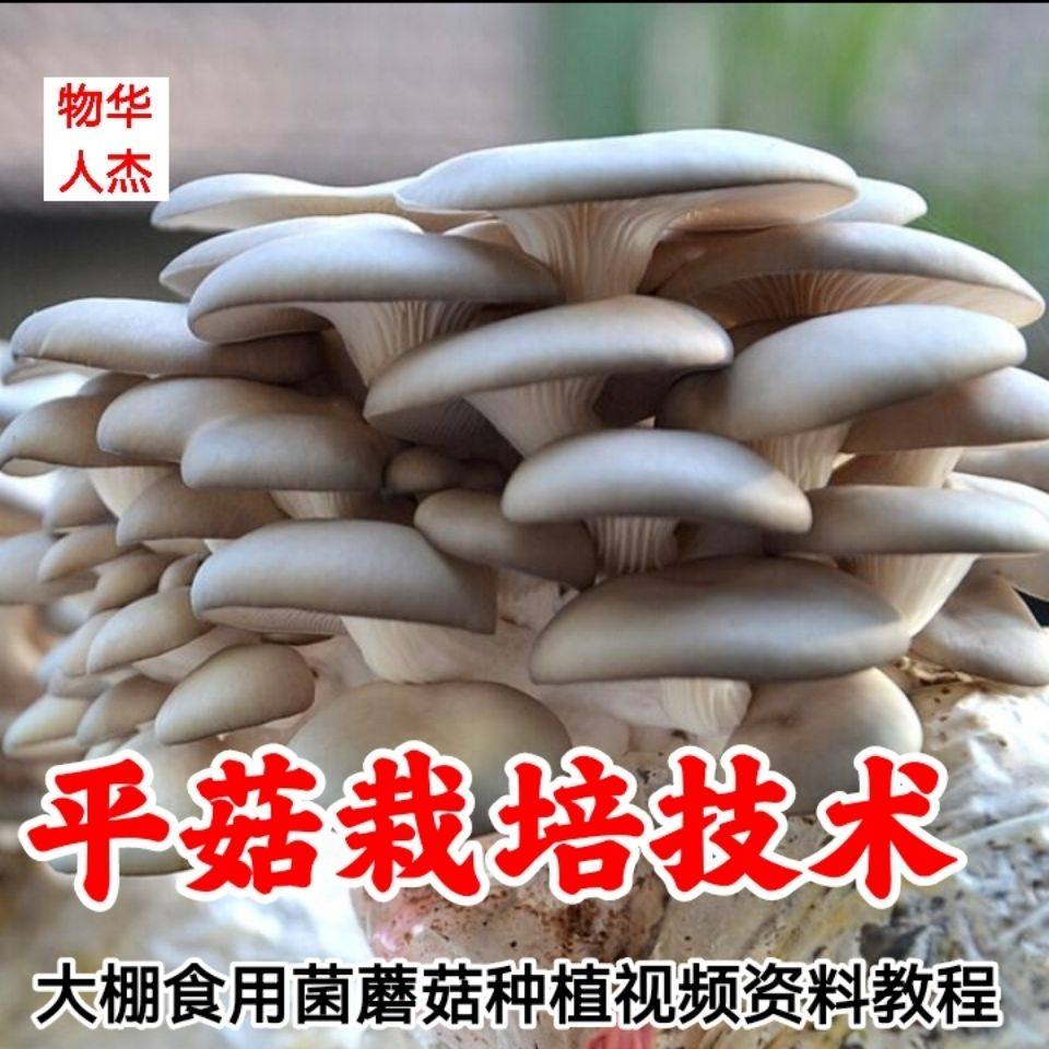 图说食用菌高效栽培全彩版|新手也能轻松上手的种菇秘籍?-园艺-淘宝百科网