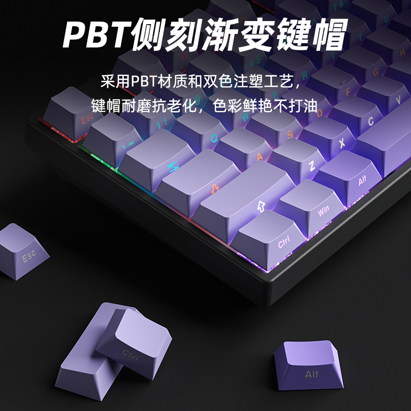 Ruiyi A87 Wired Mechanical Keyboard 87 Keys Side-Engraved Blackberry Customized E-Sports Gaming Office Hot-Swappable Keyboard