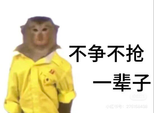 不想杀鱼了开个网店试试的LOGO