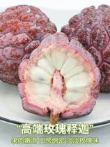High-end varieties 5 pounds of rose milk custard apple fresh fruit ringo soursop mani red 10