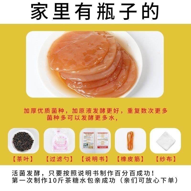 Authentic Black Tea Bacteria Strain, Stomach-Protecting and Health-Promoting Bacteria for Home Use, Homemade Kombucha Beverage [Fruit Yeast Strain]