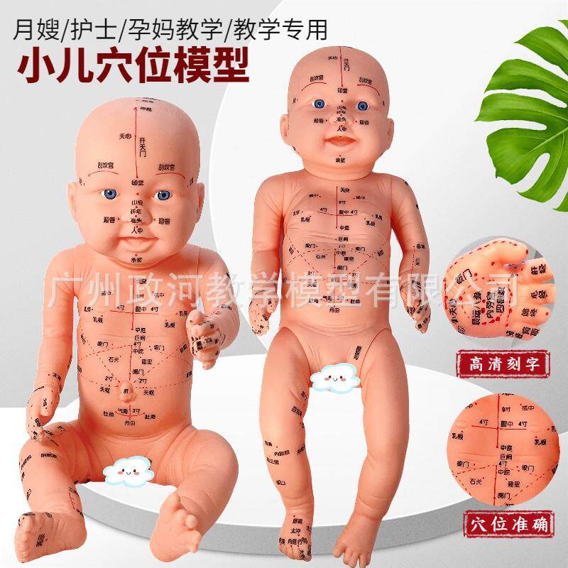 全身穴位娃娃模型适用中医教学 小儿推拿月嫂培训模型