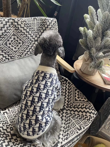 Собачья одежда, осень и зима плюс бархатный согревающий плюшевый снег, маленькие и средние собаки и домашние животные