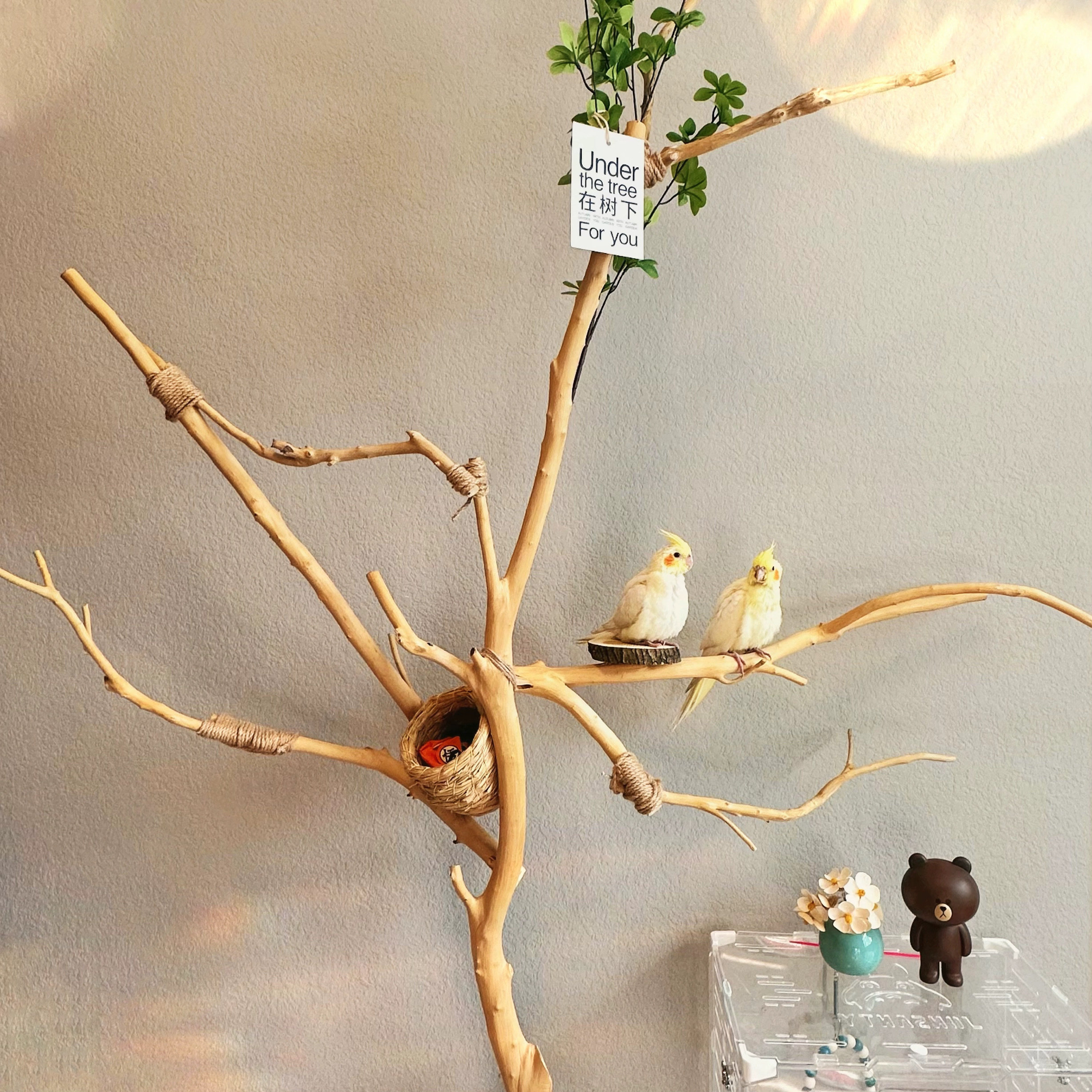 干树枝原木鸟架：打造自然风情的鹦鹉站架与家居装饰新潮流-干花-淘宝百科网