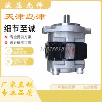 SGP1A27F2H9-L309C Tianjin Shimadzu Hydraulic Co. Ltd. SGP1A27A9H9-R308C gear pump