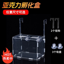 Fish tank hydroponic plant fixed rack wall-mounted hydroponic vessel planting basket acrylic flower pot planting blue and deepened aquatic plants