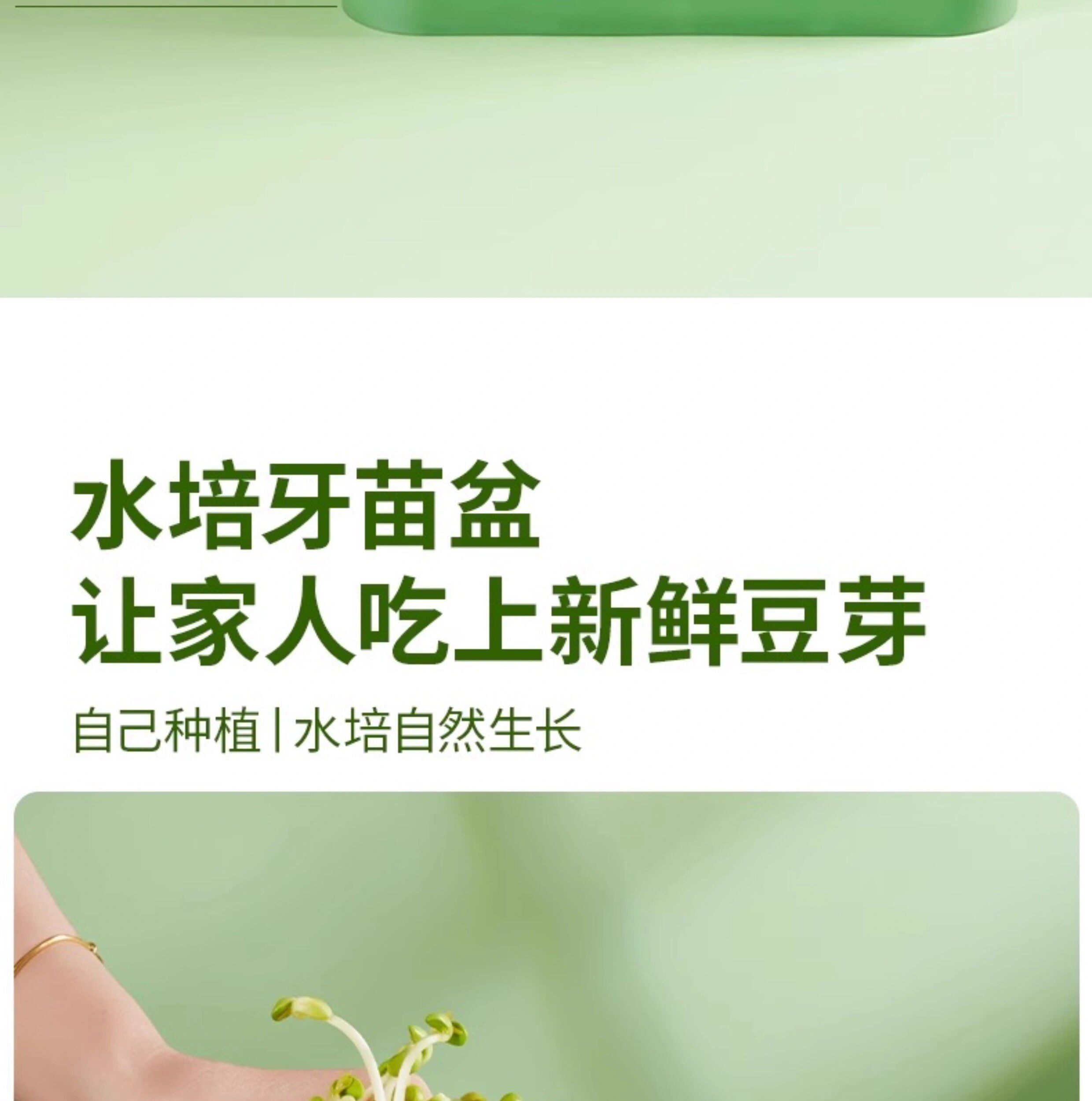 Рассада/питание 育苗盘种植发芽盆大容量家用豆芽机发豆芽专用盆神器生黄绿豆芽罐