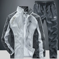 Серый [подлинный]