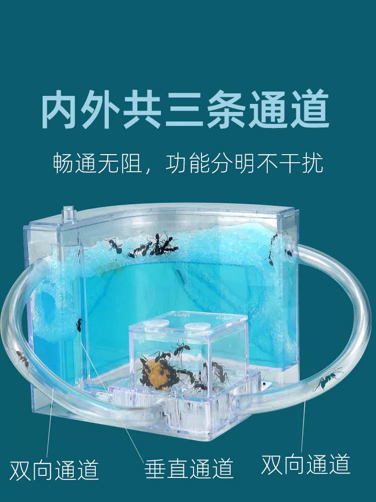 Муравьиный конник, замок, двухъярусная ферма для экспериментов, DIY, 3D