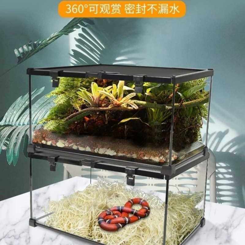 为什么说Amphibious tank白玻璃缸是雨林植物景观的神器?-api-淘宝好物网