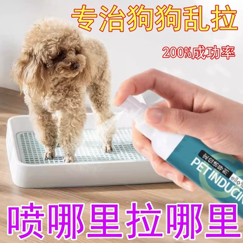 Германия, специализирующаяся на собаках с фиксированной кишечкой дефекации артефактов собак, агент туалета, агент мочи, собаки и тренировки для мочи собак не будут хаотичными