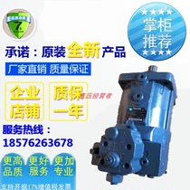 Rexroth Thunderbolt horse boom pump concrete pump truck hydraulic pump Boom pump 313 4 55 290 82TB1