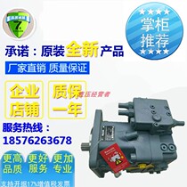 Rexroth A11VO190LRDU2 11R-NZD12NOO Ground pump Main oil pump A11V full range