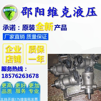 Shaoyang piston pump SY-10MYCY14-1E SY-25MYCY14-1EL SY-40YCM14-1E Piston pump