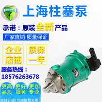  Jiangsu Hengyuan 10 16 25 32 40 63 80 100 160 250 400PCY14-1B Plunger pump