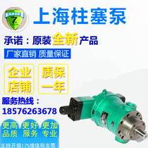 Sales Jiangsu Hengyuan Hydraulic Equipment Co Ltd 80YCY14-1B63YCY14-1B axial piston pump
