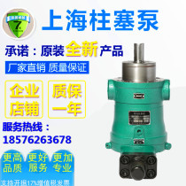 Pin Shanghai Jindan 10 16 25 32 40 63 80 100 160 250YCY14-1B Axial piston pump