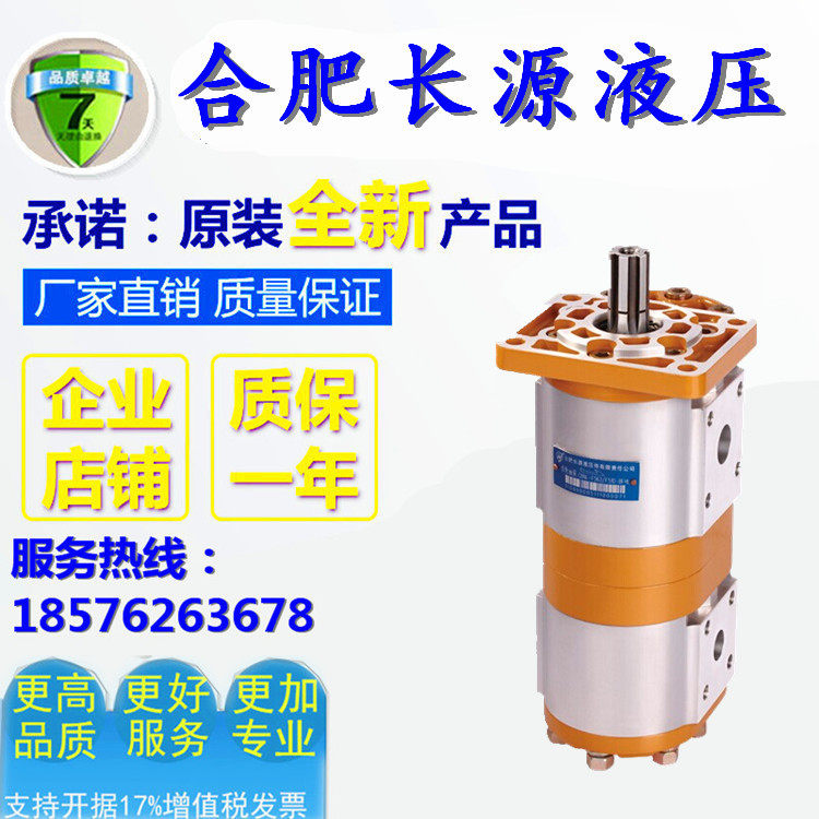 CBNL-F563 F532-BFHL Hydraulic Dual-Link Gear Oil Pump Sanitary Vehicle Accessories