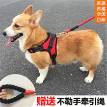 Xinjiang Tibetan dog leash vest-type dog walking rope Teddy French Bulldog Corgi medium-sized dog small dog