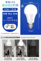 Рекомендованная индукция -радар -12 Вт (белый свет)?