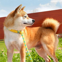 P rope dog traction rope special dog rope for outdoor explosion-proof training dogs Teddy small medium and large dog P chain dog walking rope