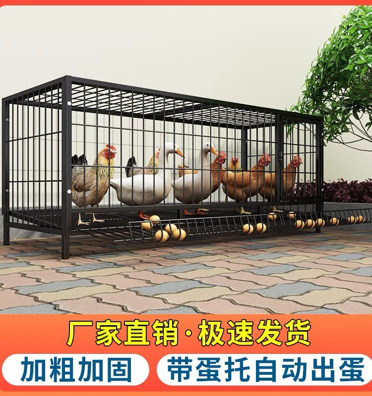 鸡笼子家用大号兔笼养殖鸭鹅鸽笼室外铁丝网不锈钢猫自动滚蛋鸡笼，养宠新选择？-养殖用具-淘宝好物网