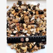 Hebei succulent potted fish tank swamp filter floor heating backfill pea stone floor heating leveling pebble filter material small pebbles